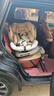 初婴贝儿童安全座椅汽车用0-4-12岁婴儿宝宝车载可坐可躺i-Size通风加热 悦享版金+通风加热+支撑腿+遮阳棚+175°躺 实拍图