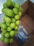 阳光玫瑰葡萄晴王青提香水提子山西新鲜水果一斤也是批发价 带箱5斤大果【单果克重10g-20g】（净重约4.5斤） 实拍图