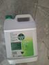 滴露（Dettol）消毒液5L大桶装消毒水家用商用工业车间酒店物业衣物环境消毒杀菌 实拍图