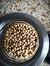 素养生活有机黄豆450g 东北大豆 黄豆 黄豆酱原料  打豆浆可发芽五谷杂粮 实拍图