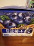 三只松鼠每日蓝莓干256g/16包 无添加水果干果脯小包装儿童老人办公室零食 实拍图