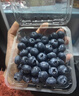 京鲜生 云南蓝莓 4盒中果14mm+ 125g/盒 生鲜年货水果 源头直发 实拍图