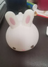 酷火新年礼物兔子小夜灯儿童玩具女孩子生日礼物女生7-14岁10女童女儿 实拍图