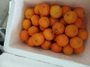 京鲜生 正宗广西砂糖橘净重4.5斤 单果35-55mm 年货精品果 源头直发包邮 实拍图