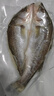 1号会员店（One's Member）零添加保水剂白蕉三去海鲈鱼 1000g（500g*2） 海鱼 海鲜水产 实拍图