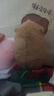 卡皮巴拉毛绒玩具公仔儿童生日礼物女孩情人节礼物水豚毛绒玩偶 卡皮巴拉公仔 1个装（新人专享） 实拍图