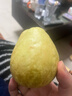 京觅福建奶油芭乐 番石榴 单果150g起 净重4.5斤装 源头直发包邮 实拍图