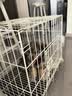北鼻狗狗笼小中大型犬狗笼子猫笼带厕所加粗折叠宠物笼子柯基笼幼犬狗笼 白色加粗狗笼61*42*50CM【15斤内】 实拍图