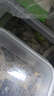 【京东快递】松茸 云南雪山干货 野外生长 新鲜精选干片 松茸干片100g 实拍图