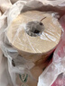 泉林本色有芯卷纸 3层160克*10卷卫生纸手纸厕纸卷筒纸大卷易溶不堵大克重 实拍图