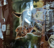 京东京造 幼猫全价猫粮4.5kg(1.5kg*3) 乳清蛋白羊奶免疫护肠胃 实拍图