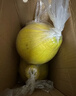 京鲜生 梅州沙田柚金柚 净重10斤单果1.6斤+ 生鲜水果 源头直发年货送礼 实拍图