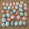 楚逸禾  散养五彩土鸡蛋虫草蛋当日新鲜鸡蛋破损包赔 【五彩土鸡蛋40枚】 【生态林下养殖】 实拍图