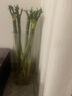 京东鲜花花瓶摆件防摔大号亚克力透明醒花桶落地插花富贵竹马醉木水养鲜花 实拍图