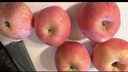 京鲜生 新疆阿克苏苹果 净重4.5斤单果85+mm 生鲜水果源头直发 实拍图