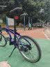 TOFA折叠自行车T1经典20英寸中置内变速折叠车成人男女士学生折叠单车 星幻蓝 20英寸 实拍图