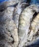 禧美海产  白对虾 无冰净重400g/盒 22-27只 盐冻锁鲜 烧烤 海鲜年货送礼 实拍图