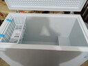 星星（XINGX）300L单温家用小型冰柜 大容量减霜保鲜净味节能一级能效冰箱冷藏冷冻两用冷柜BD/BC-300QJ 实拍图