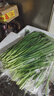 京鲜生 云南现摘新鲜韭菜饺子馅净重5斤 农家自种 新鲜蔬菜源头直发包邮 实拍图