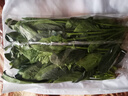 大菠菜300g 实拍图