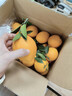 土八鲜江西橙子赣南脐橙新鲜水果赣州脐橙手剥甜橙礼盒 奋进橙9-10斤【单果200g+】 实拍图