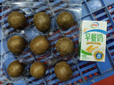 贡苑 罗汉果清润茶9颗独立装 永福特产罗汉果仁凉茶搭胖大海菊花茶 实拍图