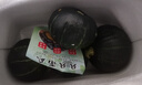 京鲜生贝贝南瓜净3斤(粉糯瓜)中果300+蔬菜辅食板栗味源头直发 实拍图