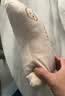 华饰汽车头枕颈枕车载头枕车用座椅靠枕护颈枕 刺绣款【小熊米色】 实拍图