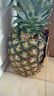 佳农 黑钻菠萝1粒装 巨无霸 菲律宾凤梨 净重3.6斤 生鲜水果 包邮 实拍图