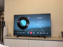 东芝电视Z500QF Mini LED控光 火箭炮音响 144Hz高刷 3+128GB大内存 4K超清 智能平板游戏电视机 65英寸 65Z500QF【咨询客服领限时底价】 实拍图