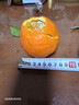 田拾记四川爱媛38号果冻橙【多地次日达】桔橘子新鲜水果送礼年货礼盒 出口级母橙丨9斤彩箱 更甜更多汁丨净8.5斤 力荐 大果丨单果80mm+丨超甜 实拍图