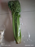 有机芹菜（西芹）400g 实拍图