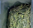 西湖牌2025新茶上市绿茶龙井茶叶 雨前一级250g春茶传统纸包自饮送礼 实拍图