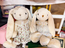 伽百利（Gabriel）毛绒玩偶可爱兔子玩偶娃娃玩具节日礼物生日礼物送女生马年吉祥物 小甜心 礼盒款（送礼袋） 30cm 实拍图