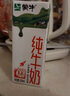 蒙牛全脂纯牛奶200ml*24盒 家庭年货囤货 电商定制 实拍图