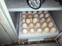 京鲜生富硒鲜鸡蛋30枚 3斤 源头直发 实拍图