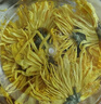 福东海 菊花茶【约100朵完整大花】金丝皇菊胎菊黄山贡菊特茶级花草茶 实拍图