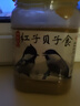 朝歌鸟红子贝子鸟食提性壮膘饲料黑子点颏山雀绣眼点颏鸟食粉面料 500g【1桶】 晒单实拍图