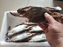 【冷冻】至鲜 梭子蟹2.6斤/5-6只整只当季液氮冷冻4-6两/只吕四黄海新鲜螃蟹海鲜年货礼 实拍图
