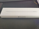 Apple/苹果 Pencil Pro 磁吸触控笔手写笔苹果笔电容笔书写绘画ipad笔 适用于iPad Pro/Air/mini机型 实拍图