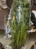 【24小时菜】香菜100g   实拍图