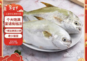 翔泰 海南金鲳鱼净重900g 2条装  年货节鱼类生鲜 火锅食材 海鲜水产  实拍图