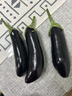 山东新鲜绿把紫皮长茄现摘现发新鲜嫩茄新鲜时令蔬菜生鲜 新鲜绿把紫茄 1斤 现摘现发 实拍图