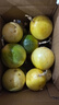 京喜加广西钦蜜9号黄金百香果青果发货当季新鲜大果黄皮果奶茶店水果 【1斤 约11-17个】单果30-45g 实拍图