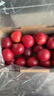 京鲜生 智利进口樱桃李3J级 900g礼盒装 单果25g起 新鲜水果 实拍图