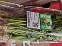 【24小时菜】香菜100g   实拍图