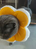 华元宠具（hoopet）猫咪伊丽莎白圈幼猫项圈宠物狗狗圈颈圈脖圈头套犬耻辱圈防舔头罩 实拍图