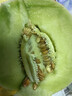 京鲜生 玉菇甜瓜 2粒装 单果重2-2.8斤净重4-5.5斤 生鲜水果礼盒 实拍图