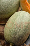 京鲜生 海南哈密瓜西州蜜/西周蜜 2粒5-7斤 单果2.5斤生鲜水果年货礼盒 实拍图