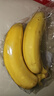 黄胖子进口香蕉650g 实拍图